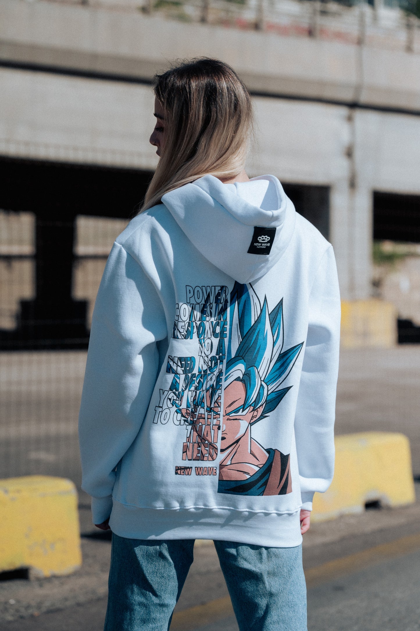 NEW WAVE Φούτερ "Dragon ball"